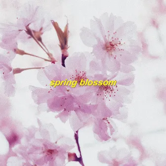 Spring Blossom by Silent Voice