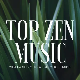 Top Zen Music: 20 Relaxing Meditation Moods Music for Spiritual Development, Yoga, Spa & Massage by Cat Whisper