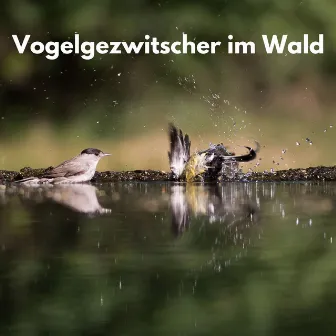 Vogelgezwitscher im Wald by Waldgeräusche