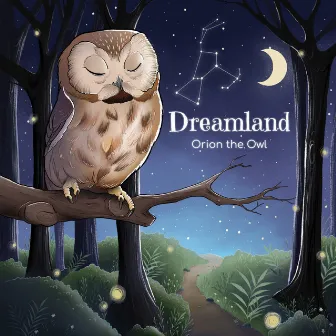 Dreamland by Orion The Owl