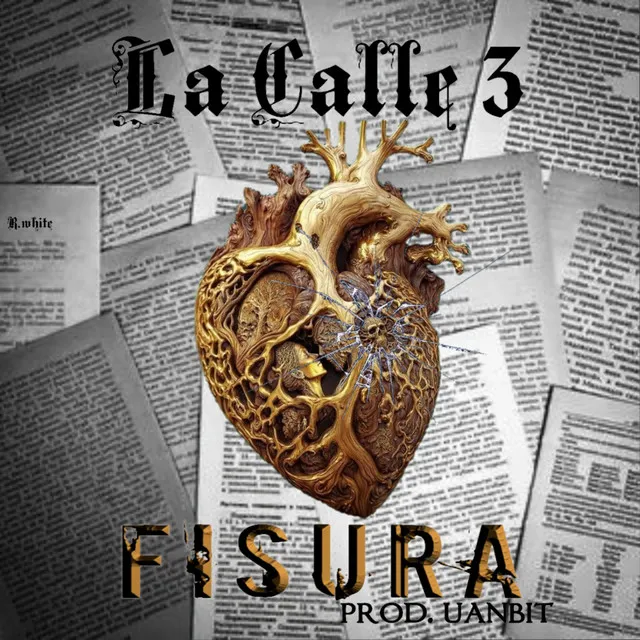 FISURA