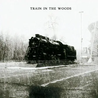 Train in the Woods by Hank Hobson