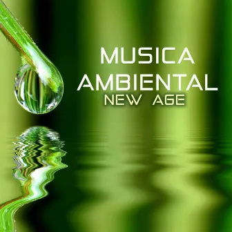 Musica Ambiental New Age - Canciones Instrumentales para Dormir by Unknown Artist