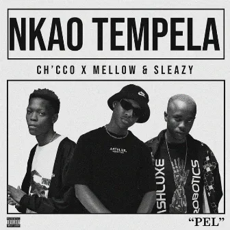 Nkao Tempela by Ch'cco