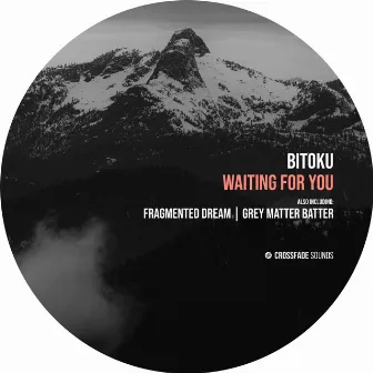 Waiting for You by Bitoku