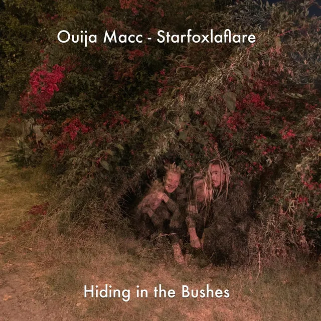 Hiding in the Bushes