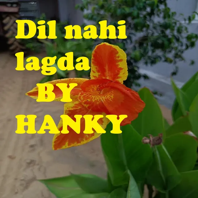 Dil nahi lagda