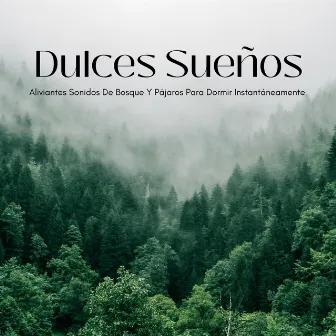 Dulces Sueños: Aliviantes Sonidos De Bosque Y Pájaros Para Dormir Instantáneamente by Sonidos de pájaros de la naturaleza