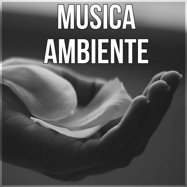 Musica para Sanar el Alma