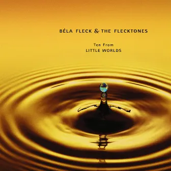 10 From Little Worlds by Béla Fleck and the Flecktones