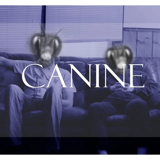 Canine