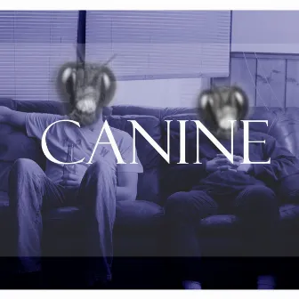 Canine by Chopface