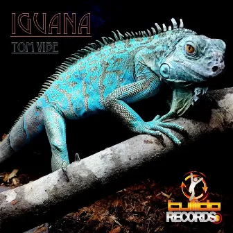 Iguana by Tom Vibe