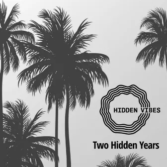 Two Hidden Years by Montel