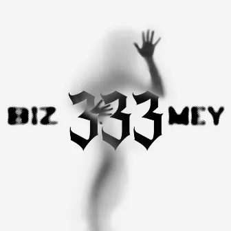 333 by Biz