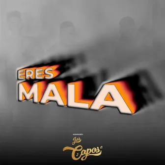 Eres Mala by Agrupación Los Capos