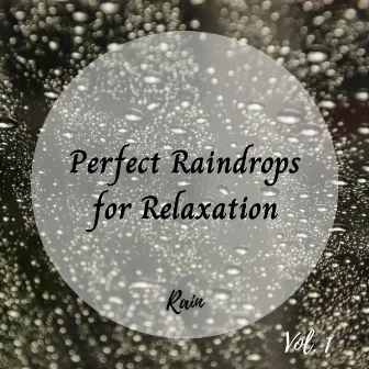 Rain: Perfect Raindrops for Relaxation Vol. 1 by Native American Flute Music