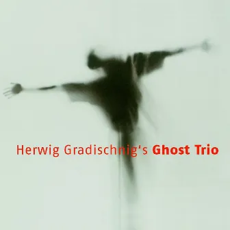 Ghost Trio by Herwig Gradischnig