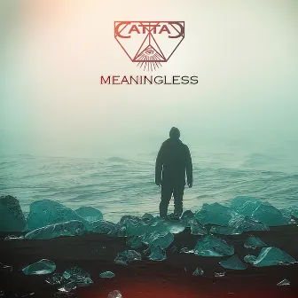 Meaningless by Cattac