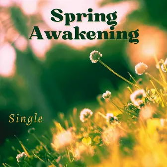 Spring Awakening: Single by Spring Awakening