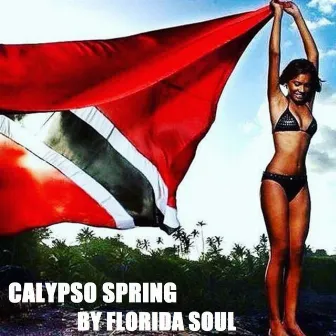 Calypso Spring by Florida Soul