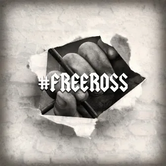 #FreeRoss by Krypto Man