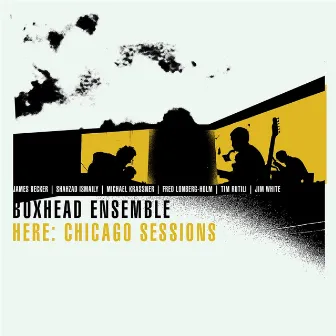 Here: Chicago Sessions by Boxhead Ensemble