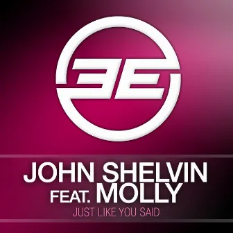 Just Like You Said by John Shelvin