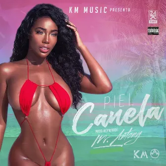 Piel Canela by KmMusic