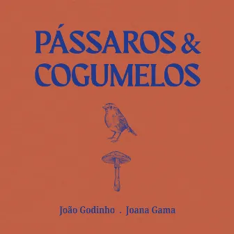 Pássaros e Cogumelos (para toy piano) by Joana Gama