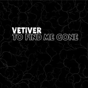 To Find Me Gone by Vetiver