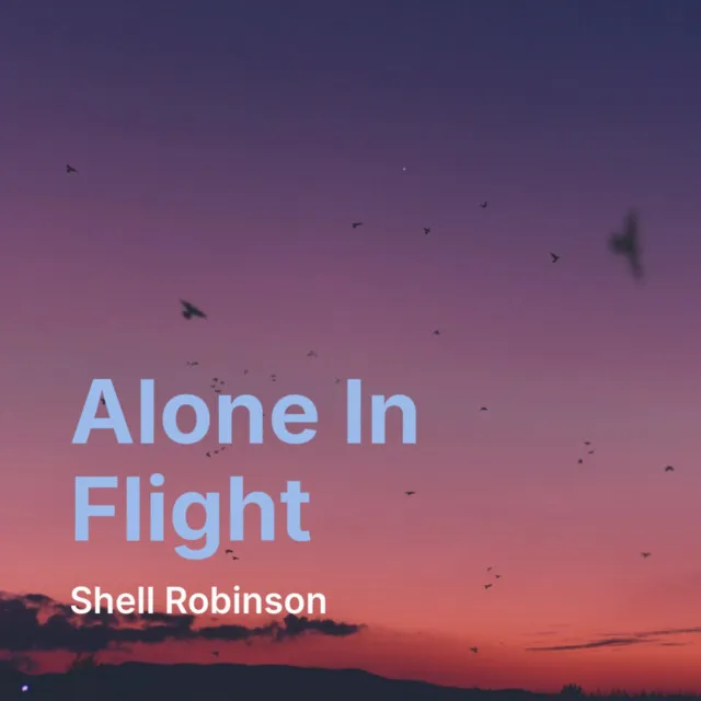 Alone In Flight