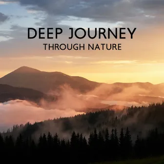 Deep Journey Through Nature by Green Green Grass