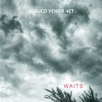 WAITS by Glauco Venier