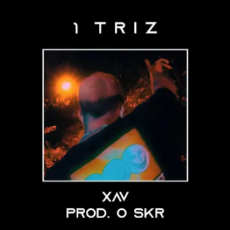 1 Triz by Xav