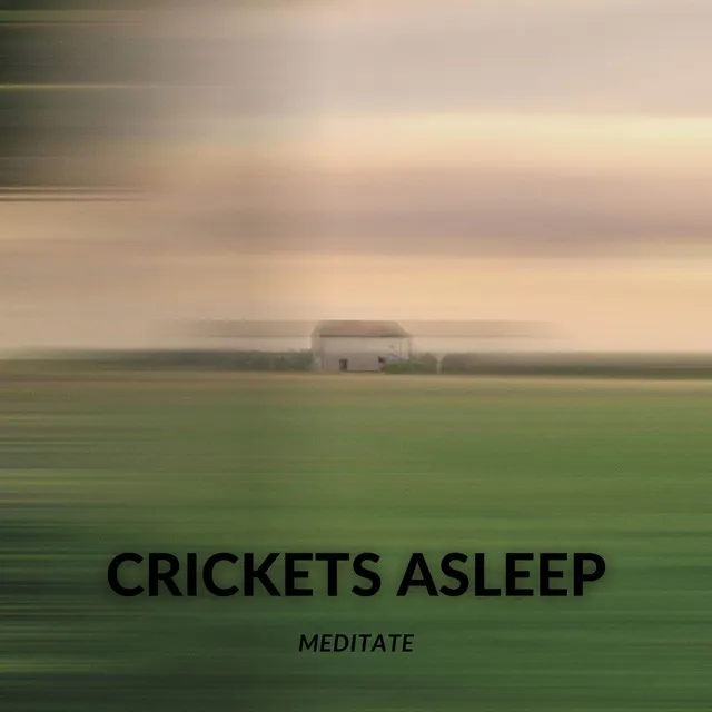 Crickets Asleep - Loop Version