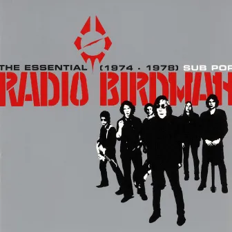 The Essential Radio Birdman by Radio Birdman