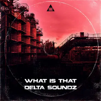 What Is That by Delta Soundz