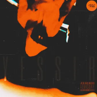 Yessir by Belvedere Lewis