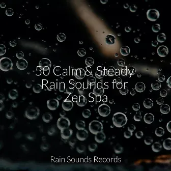 50 Calm & Steady Rain Sounds for Zen Spa by Unknown Artist