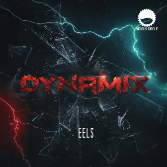 Eels by Dynamix