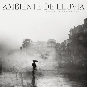 Música De Lluvia: Armonía Relajante Vol. 1 by Maestro Zen