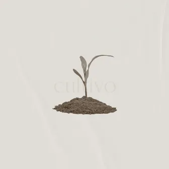 Cultivo. by Igor Felix