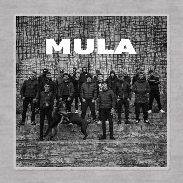 Mula