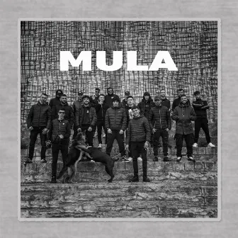 Mula by Sir. Simon