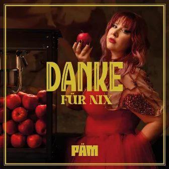 Danke für nix by PÄM