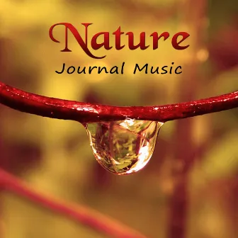 Nature Journal Music – Relaxing Nature Sounds, Ocean Waves, Peacefull Music by Nature Sounds Collective