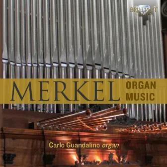 Merkel: Organ Music by Carlo Guandalino