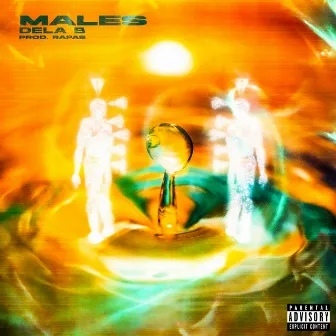 Males by Rapas