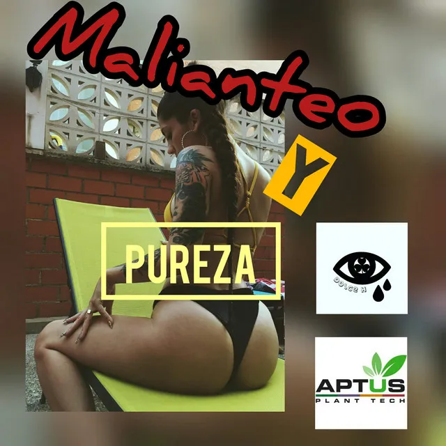 Malianteo y Pureza